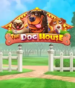 Pragmatic Play's The Dog House, offering a fun-filled experience into the world of charming canines. Discover features including free spins, designed for providing exciting wins. A must-try for animal enthusiasts an amusing theme alongside lucrative rewards.