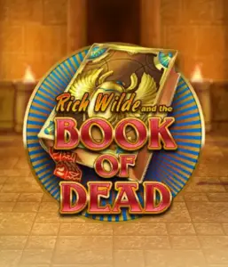 Dive into the thrilling world of Book of Dead Slot by Play'n GO, showcasing vivid graphics of Rich Wilde's journey through ancient Egyptian tombs and artifacts. Find lost riches with engaging mechanics like free spins, expanding icons, and a gamble option. Ideal for adventure enthusiasts with a desire for exciting finds.